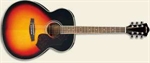 Ibanez Western Guitar SGT130E