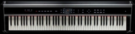 PHYSIS PIANO H  1  