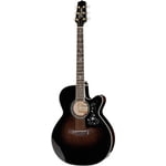 TAKAMINE EF 450 CTTT BRUCE SPRINGSTEEN