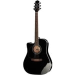 TAKAMINE EF 341 SC-LH